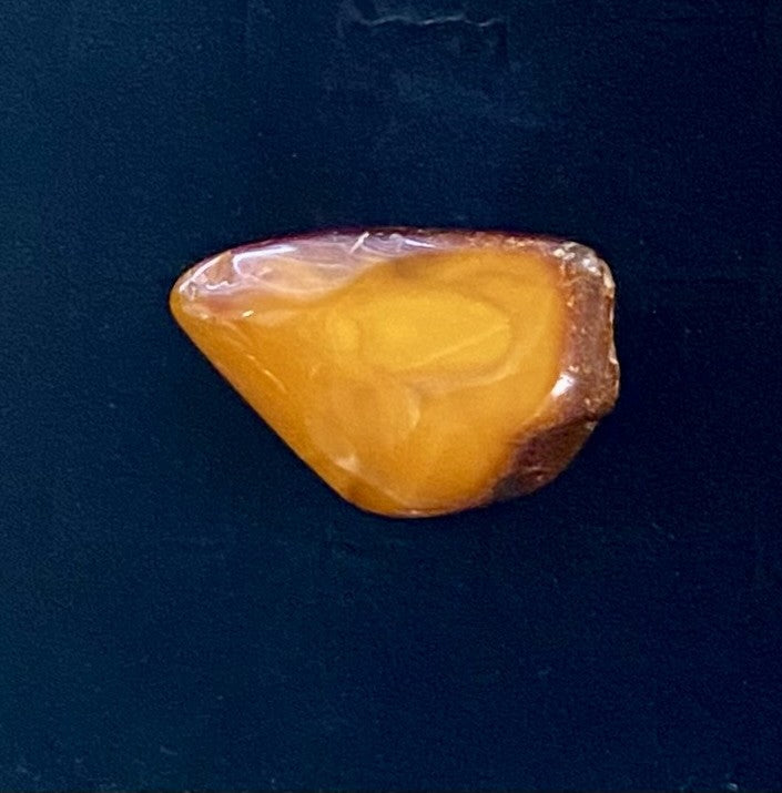 Brooch - Baltic Amber (SSC6)