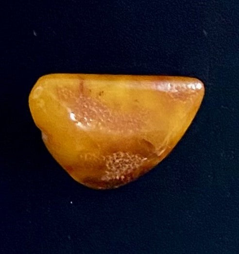 Brooch - Baltic Amber (SSC9)