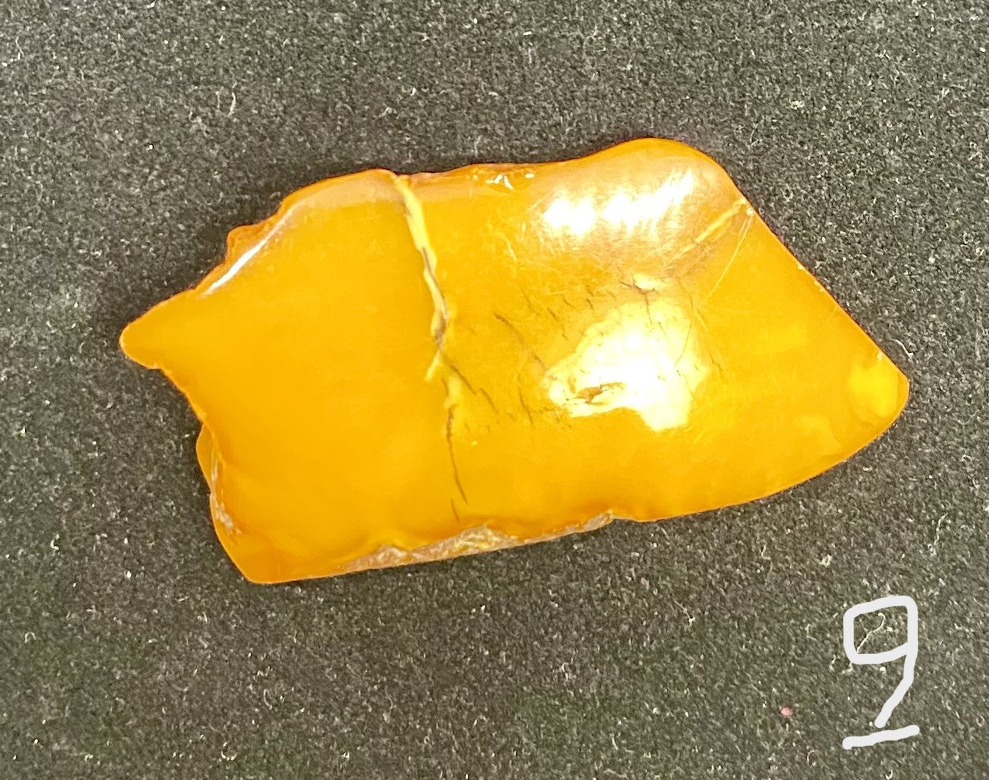 Brooch - Baltic Amber