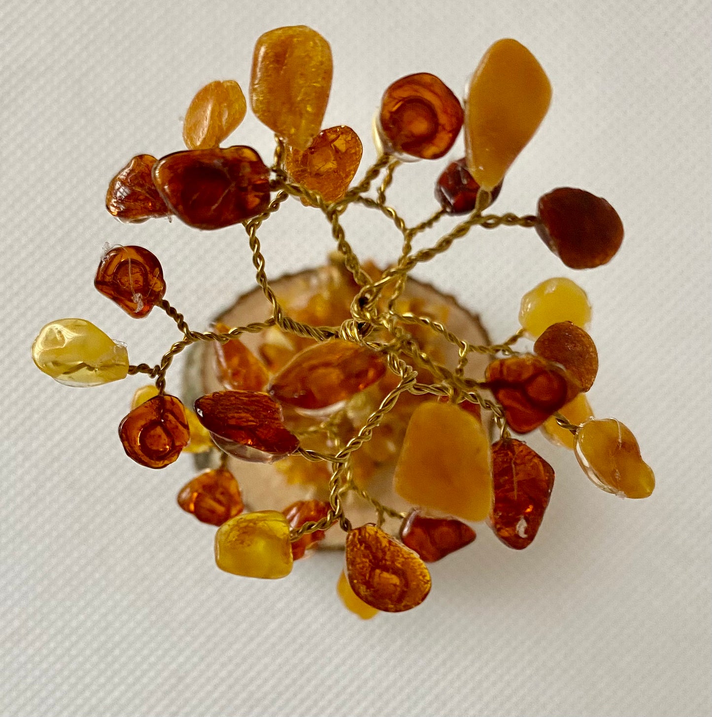Amber Tree
