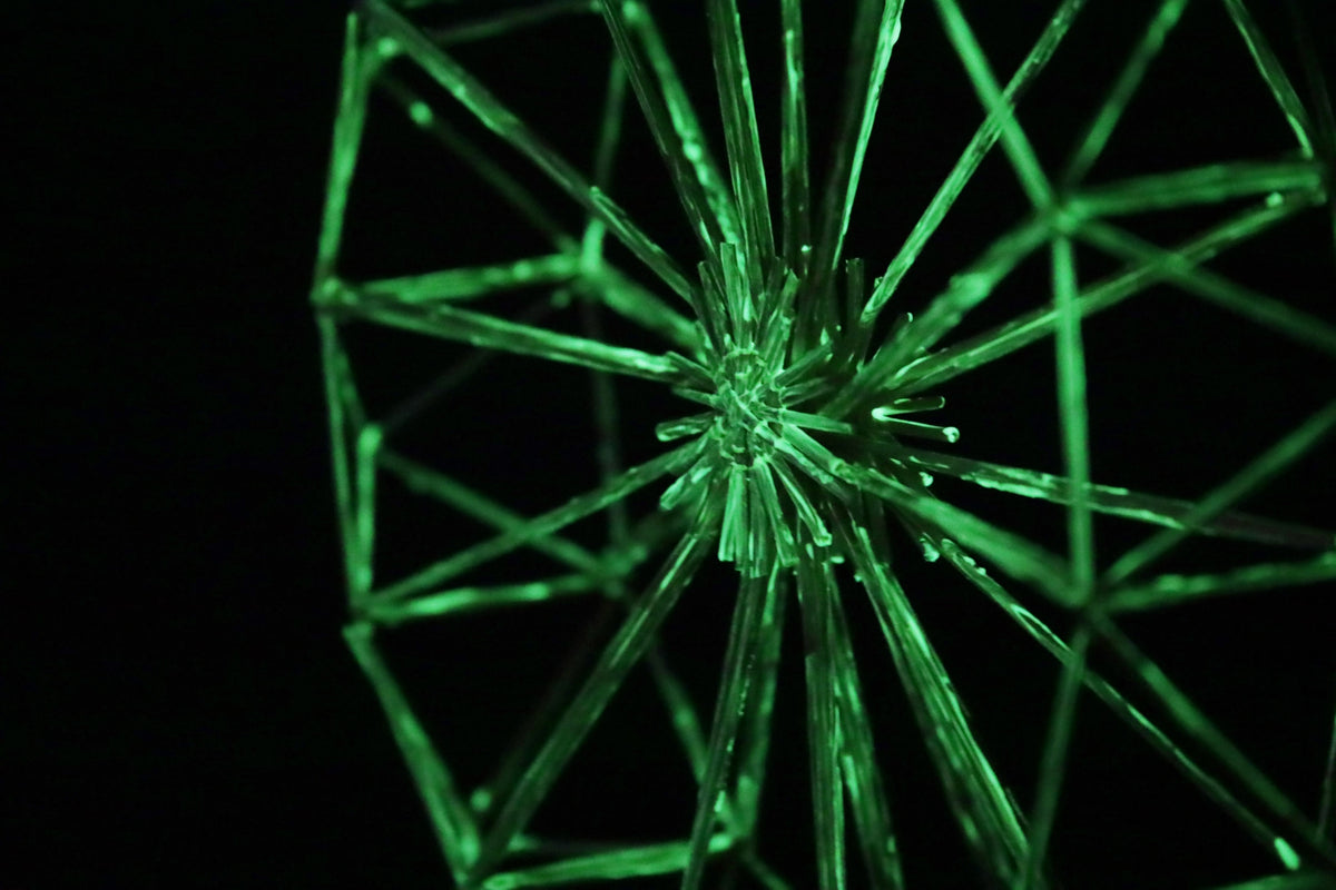 Stringing the Family Star Straw Ornament Kit