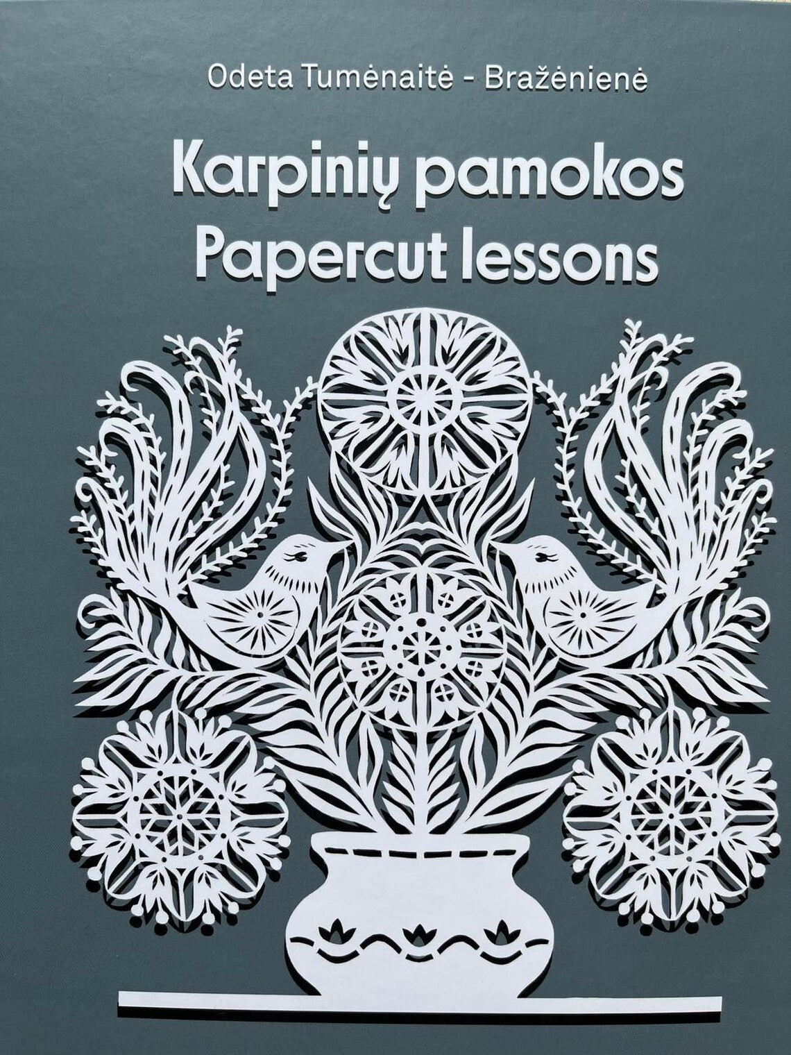 Papercut Lessons (Karpiniu pamokos)
