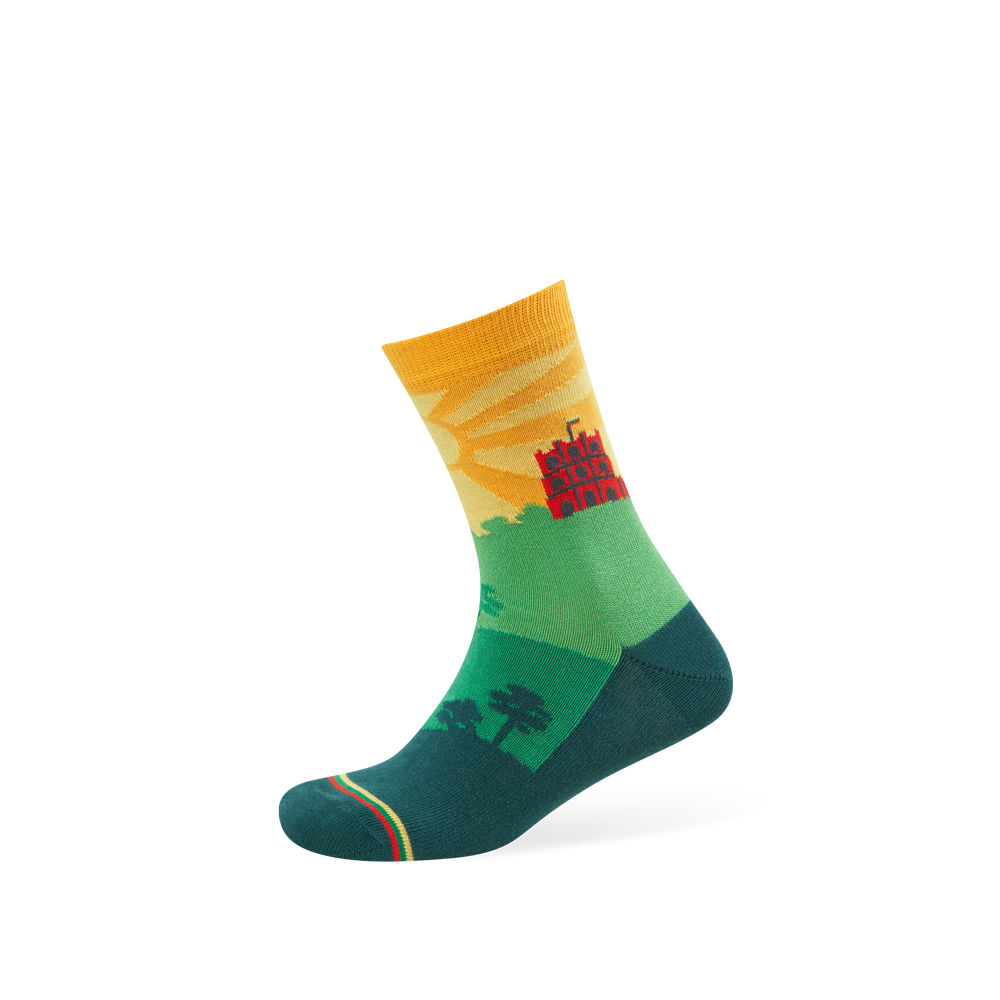 Socks: "LT peizažas" (Lithuania Landscape)