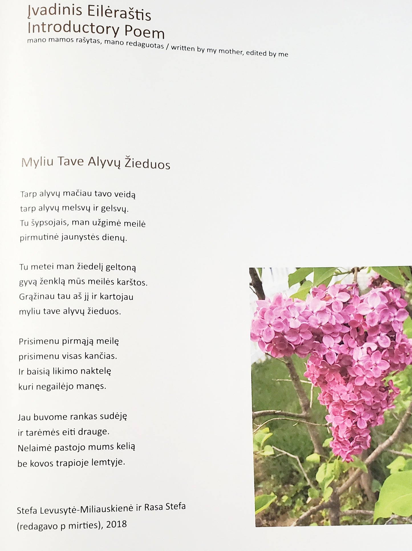 Rytmecio Rasa / Morning Dew