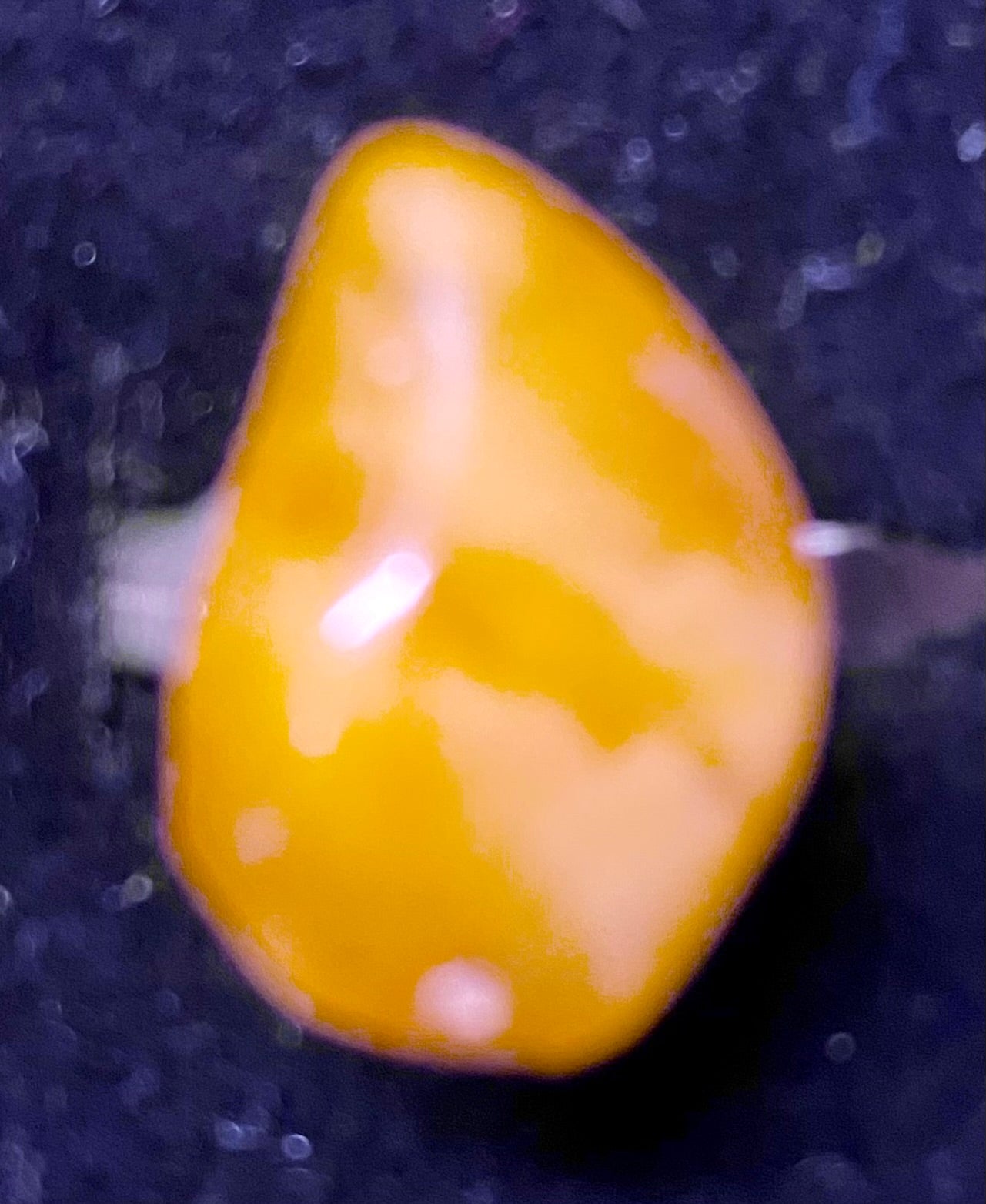 Amber Ring (0024)