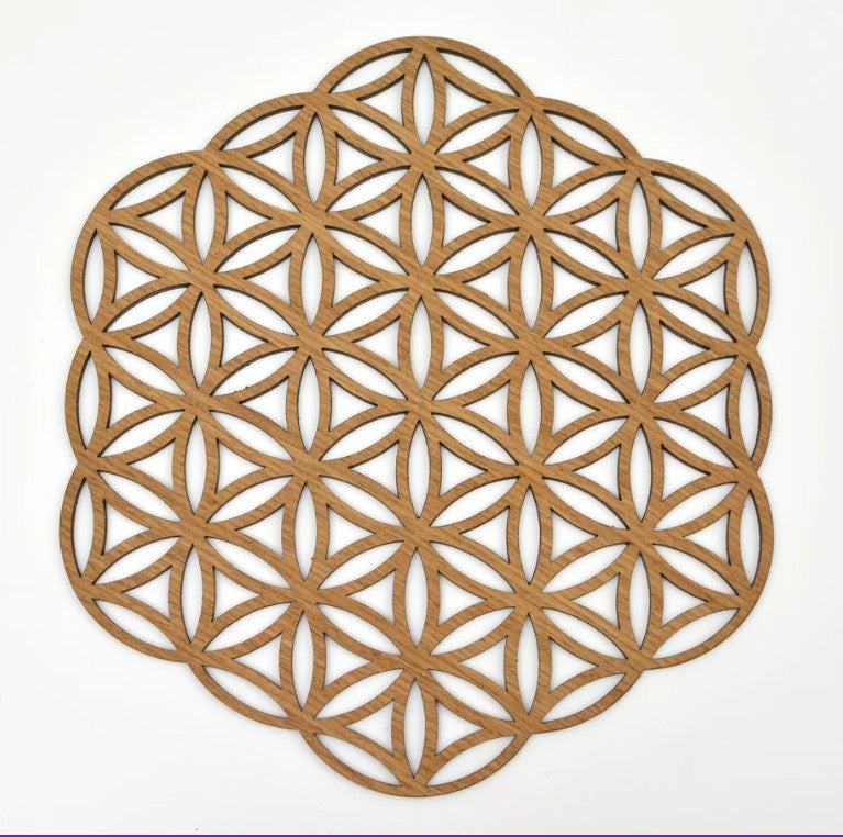 Coaster: The Flower of Life