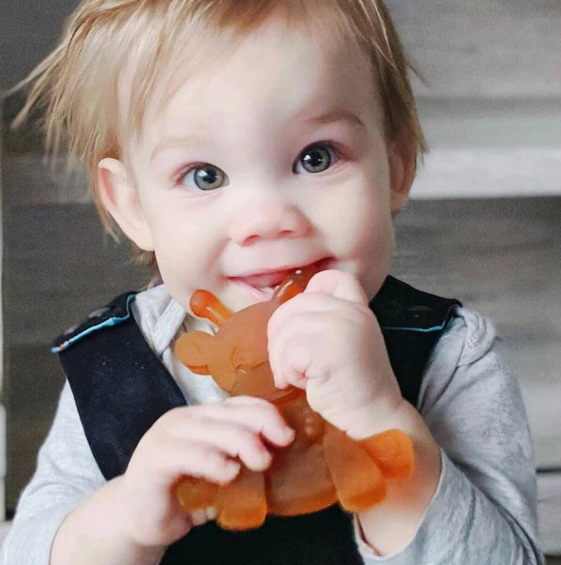 The Little Bamber: The Natural Rubber & Baltic Amber Teether