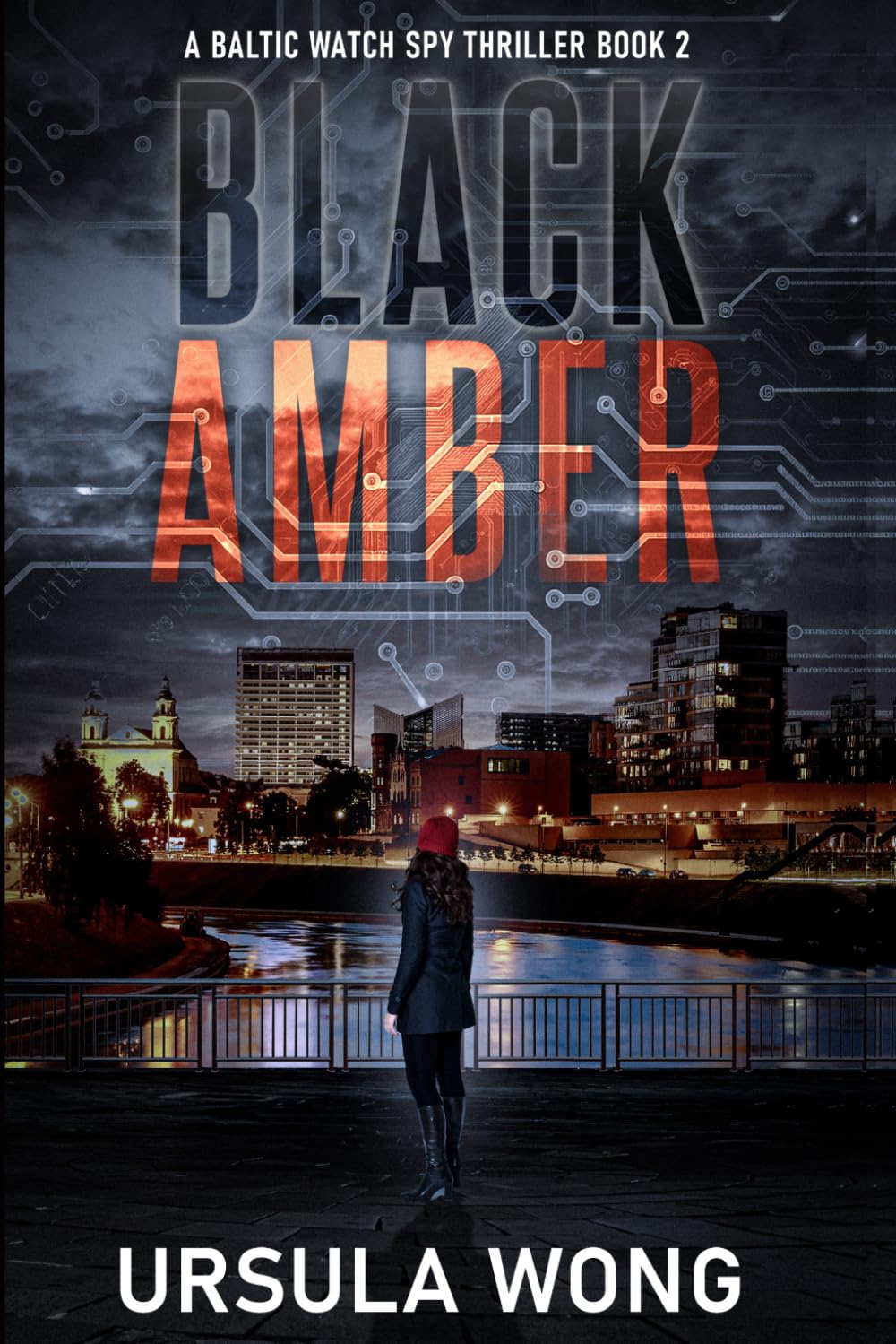 Black Amber by Ursula Wong