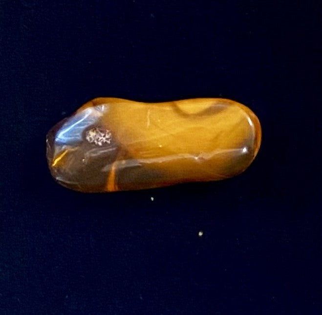 Brooch - Baltic Amber (SSC7)
