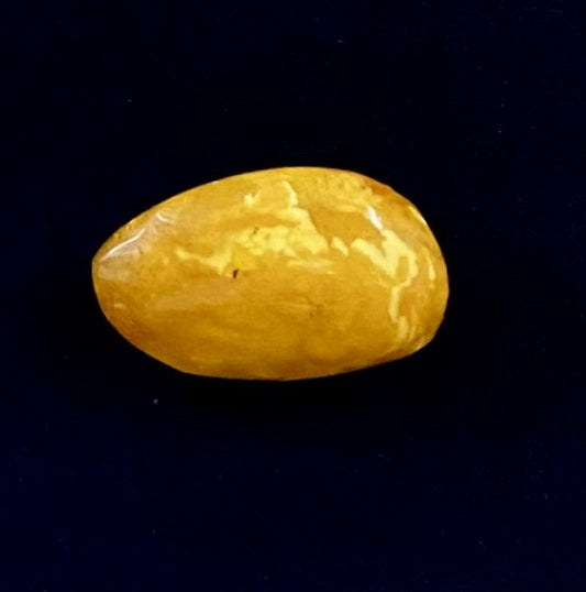 Brooch - Baltic Amber (SSC8)