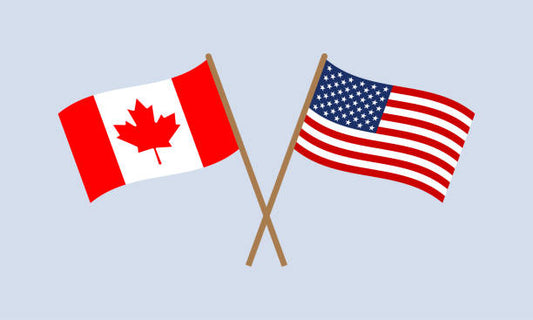 Canadian and American desk flags
