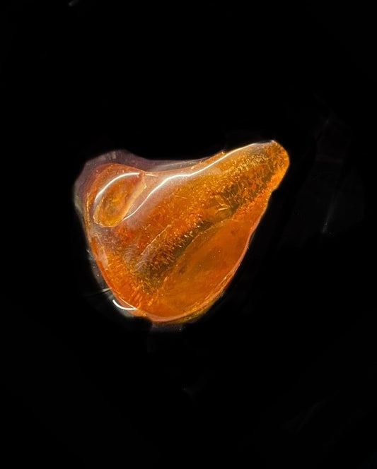 Polished Loose Amber Stone (3087)