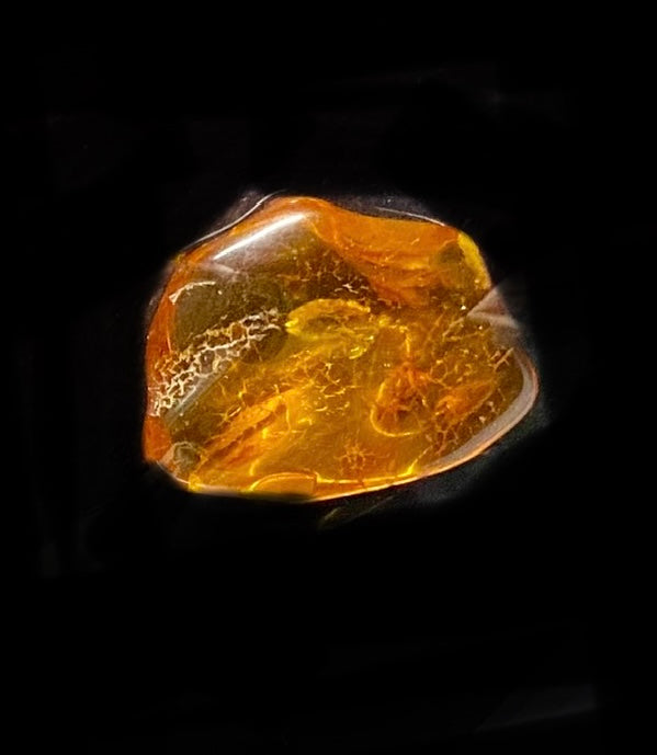 Polished Loose Amber Stone (3087)