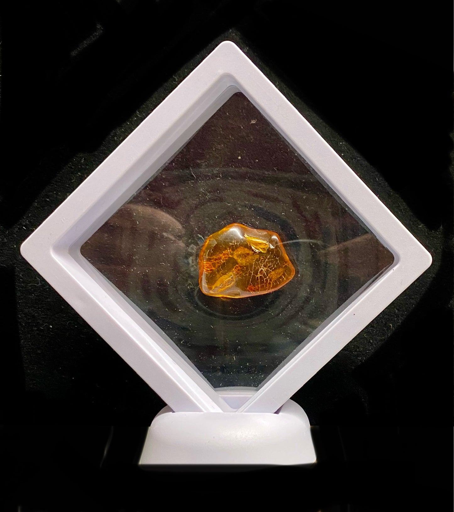 Polished Loose Amber Stone (3087)