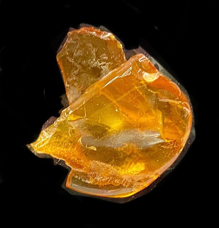 Polished Loose Amber Stone (3087)