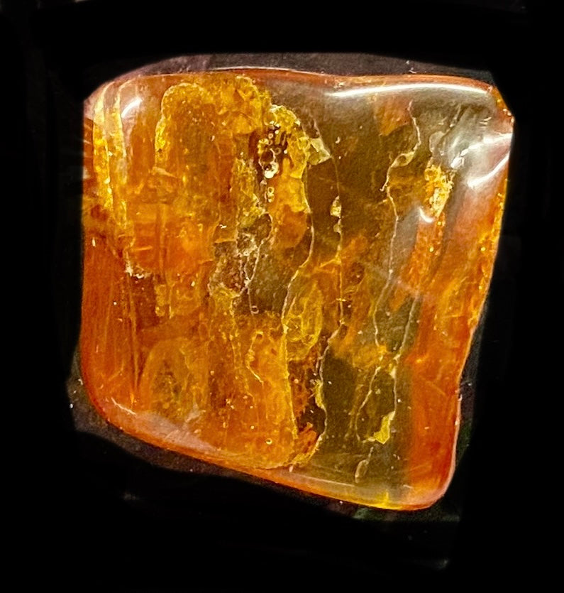Polished Loose Amber Stone (3087)