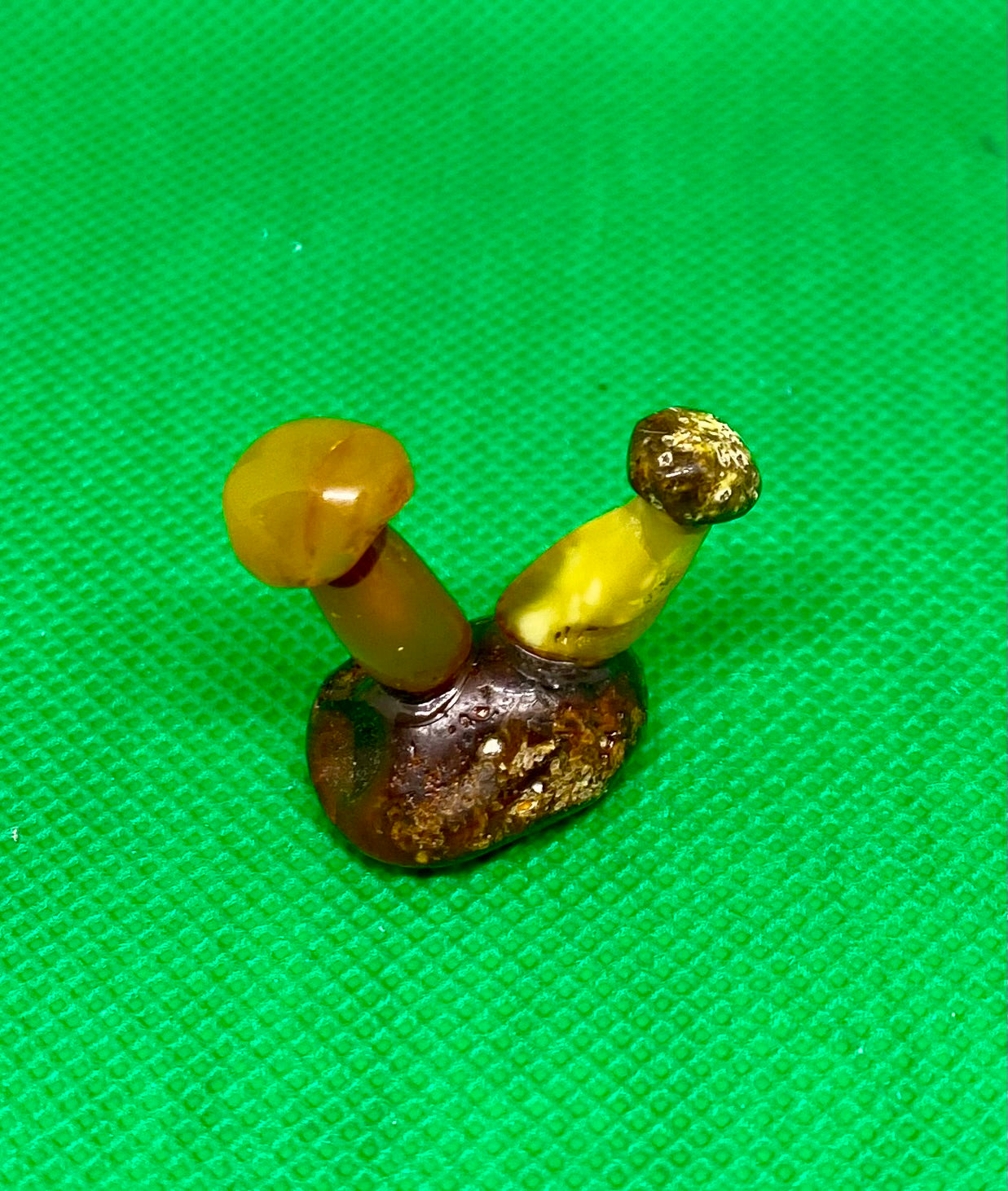 Amber Sculpture - Miniature Mushrooms (0032)