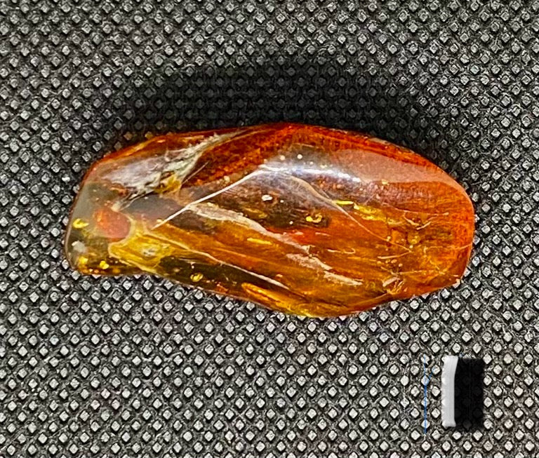 Brooch - Baltic Amber