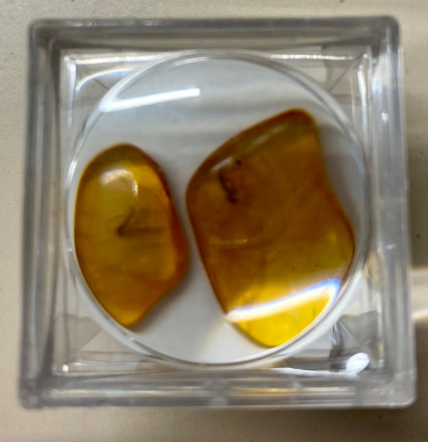 Amber - Specimen w/ inclusion (1786)