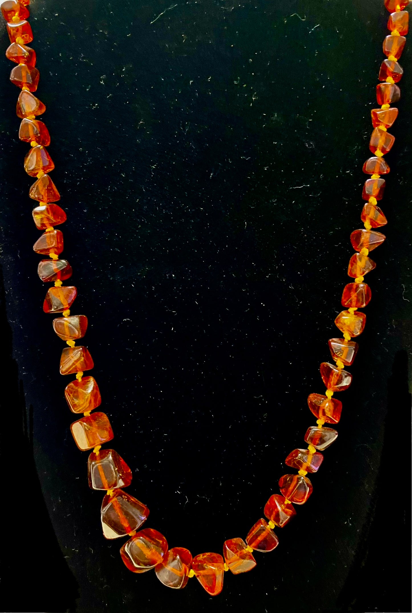 Baltic Amber Necklace 24" (2854)