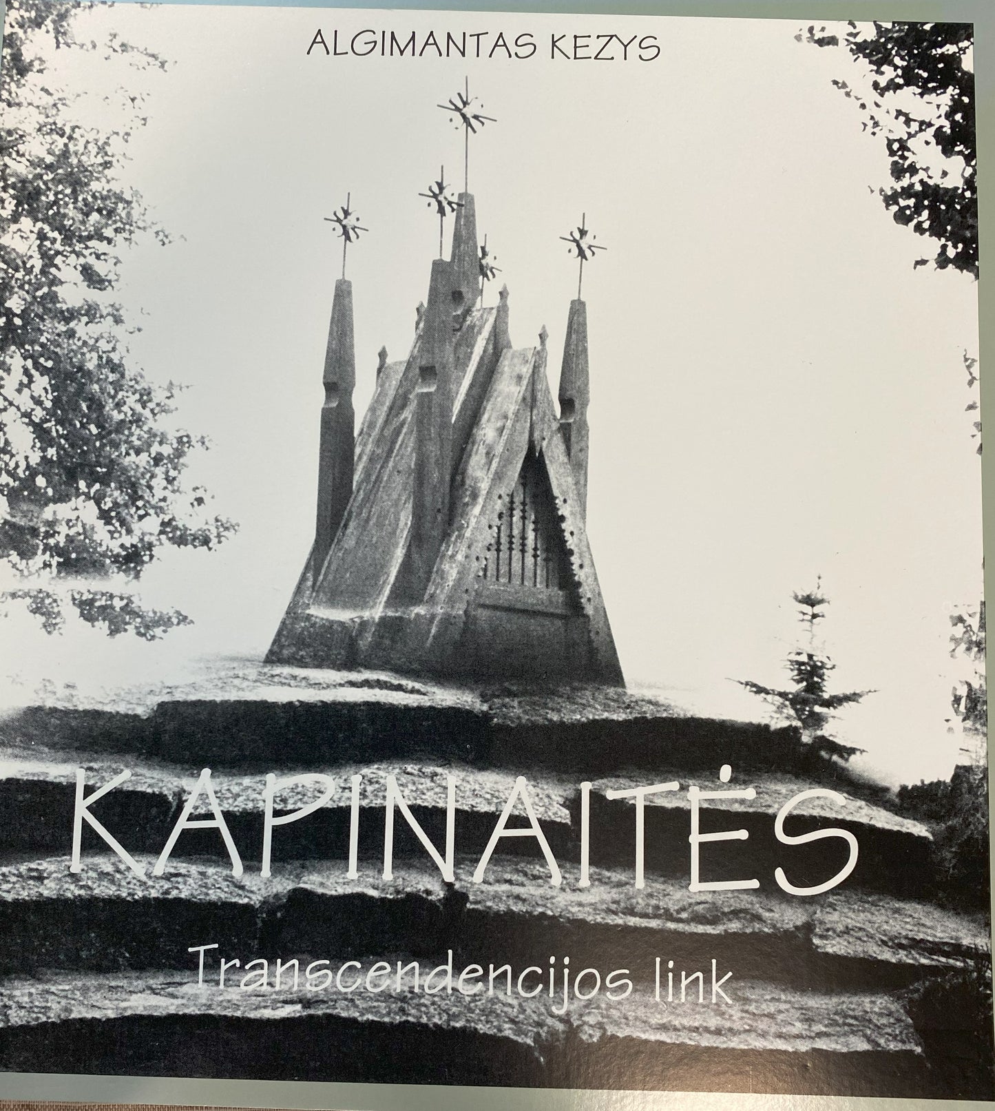 Kapinaites (0165)