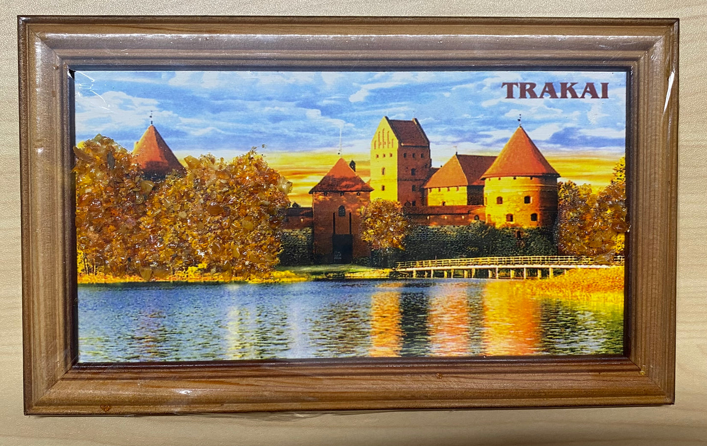Amber Portrait Trakai Castle (0208)