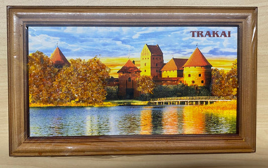 Amber Portrait Trakai Castle (0208)