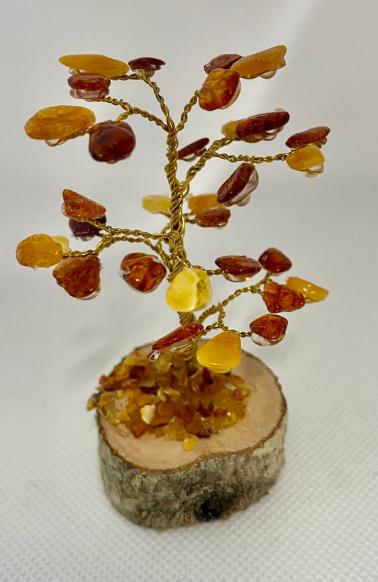 Amber Tree