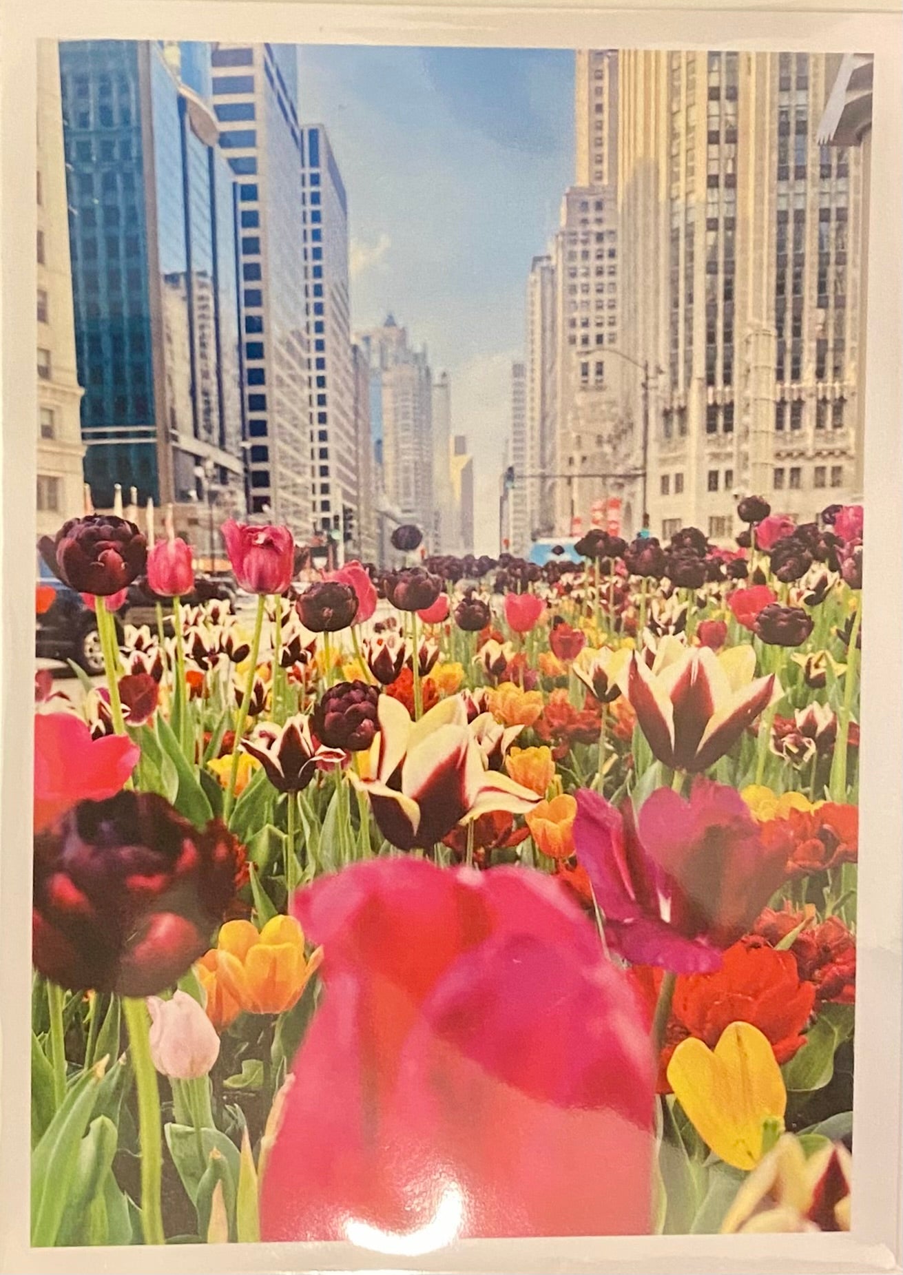 Notecard - Springtime on North Michigan Avenue
