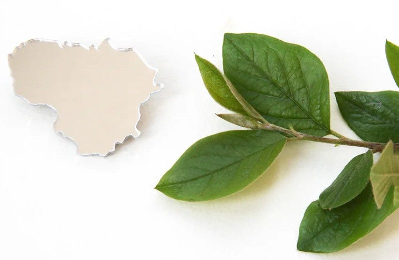 Brooch - Lithuania Mirror