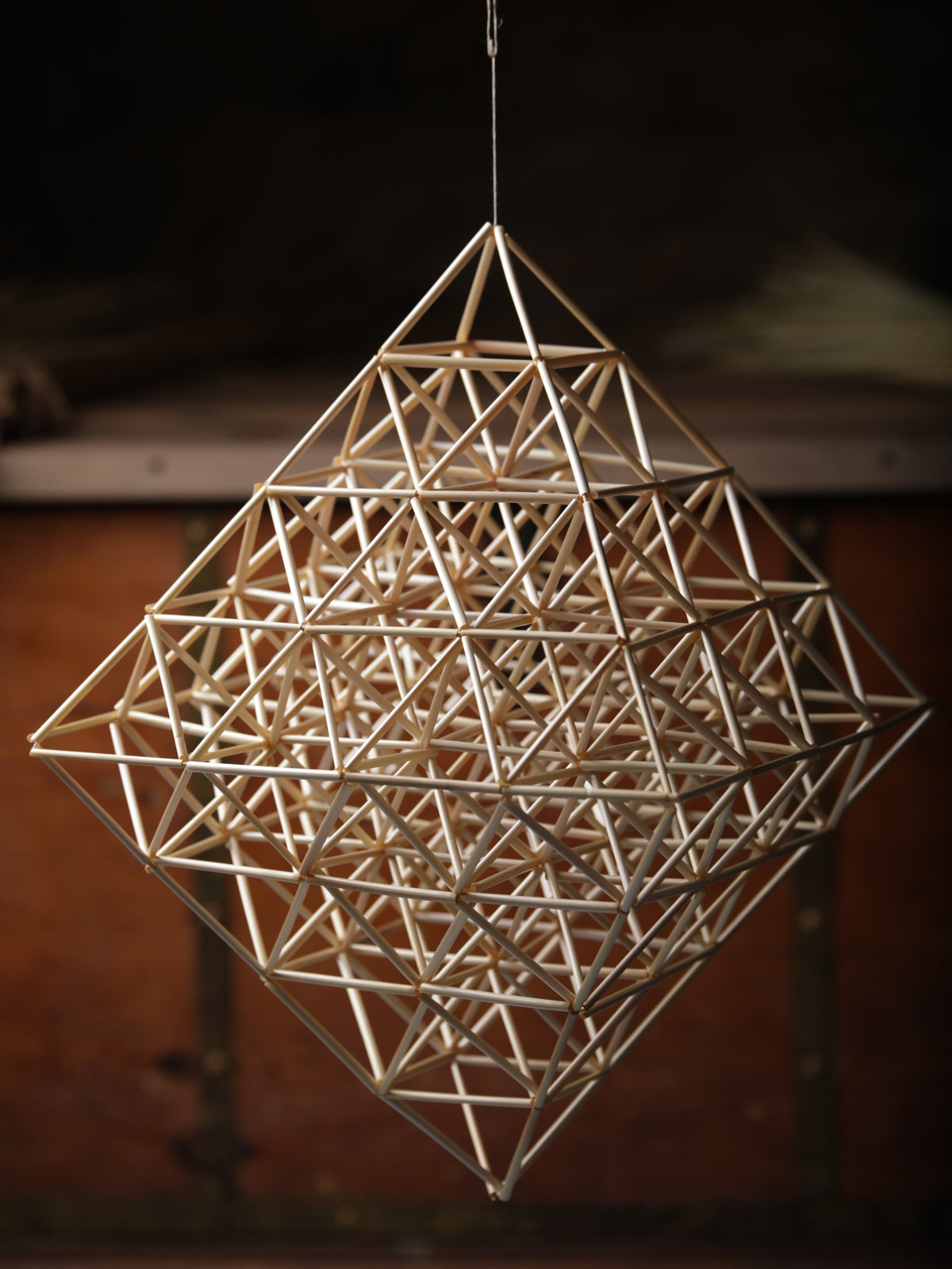Stringing a Straw Garden Straw Ornament Kit