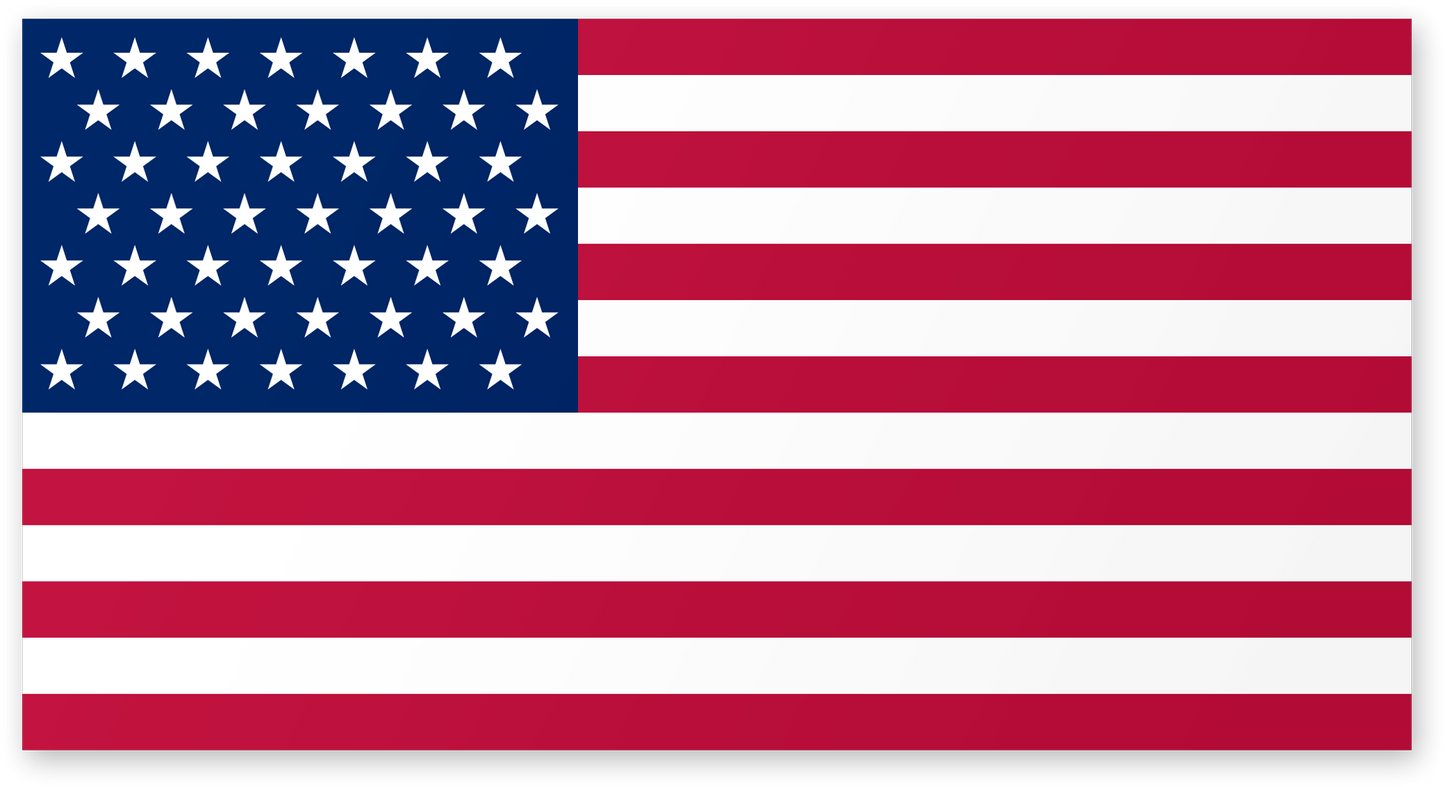 U.S Flag (3561)