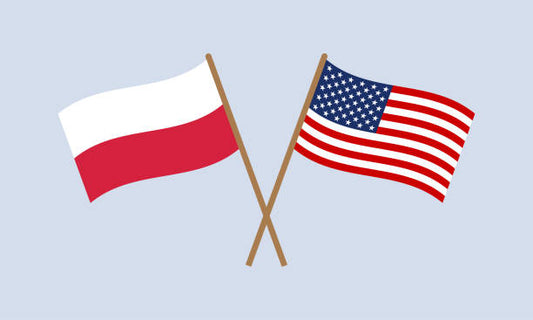 Polish and American desk flags (0512)