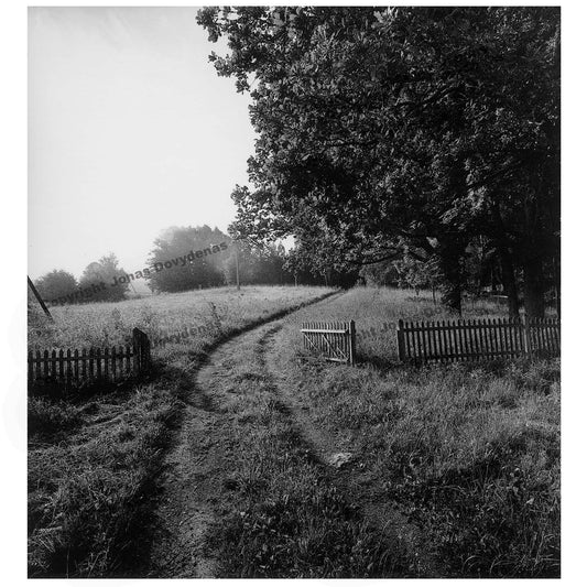 A signed print by photographer Jonas Dovydėnas