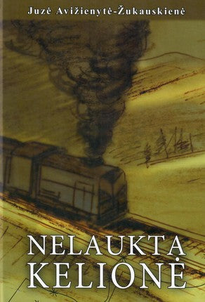 Nelaukta Kelionė (3226)